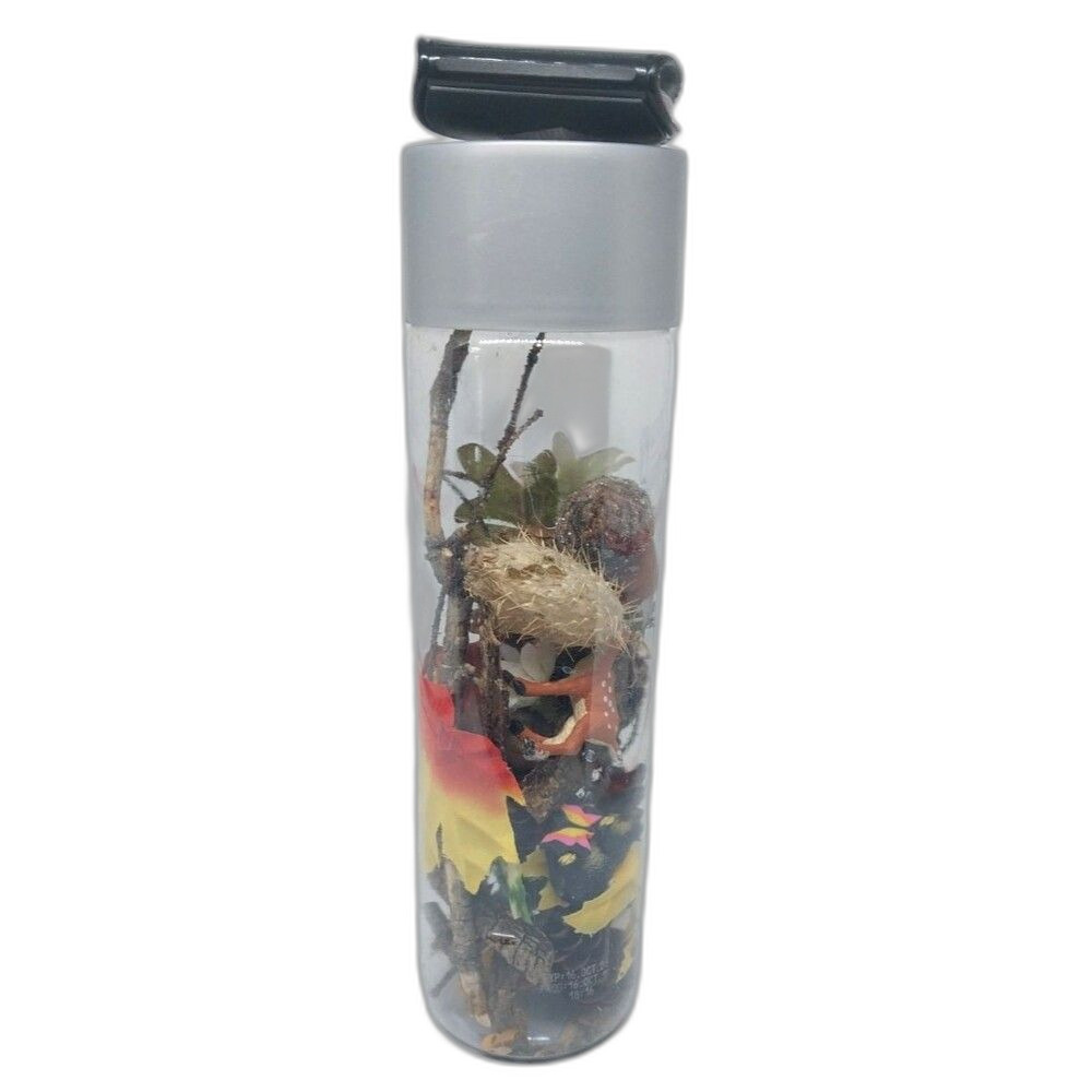 Handmade Seek & Find I Spy Bottle Game Nature Science Activity w/Magnify Glass